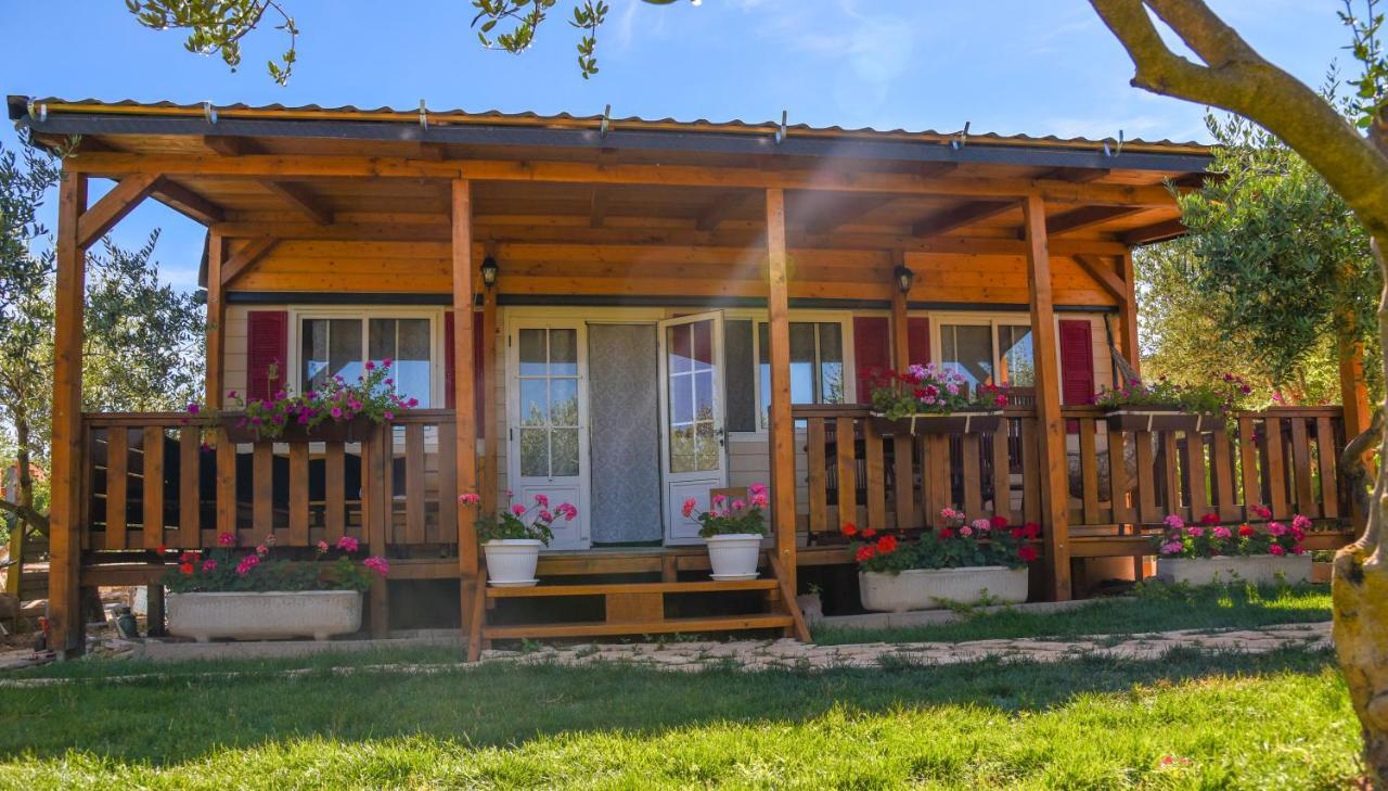 House Matea Βίλα Bilice Εξωτερικό φωτογραφία